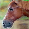 kixmueller-art_047